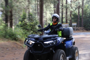 From Adeje: Mt. Teide Forest Off-Road Quad Tour