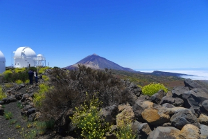  Mount Teide Observatory Astronomical Tour