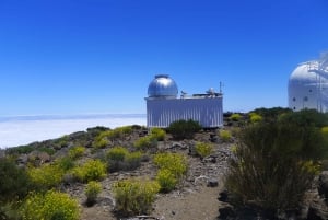  Mount Teide Observatory Guided Tour