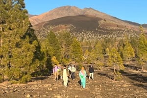 Picnic au coucher du soleil au mont Teide et observation des étoiles - Tenerife