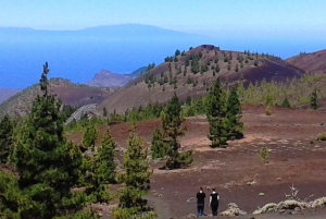 Mount Teide Trek, Winery Tour and Tapas
