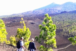 Mount Teide Trek, Winery Tour and Tapas