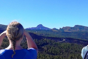 Mount Teide Trek, Winery Tour and Tapas