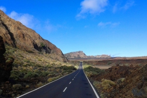 Mount Teide Trek, Winery Tour and Tapas