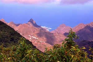 Northern Tenerife with Tapas, Mojo and Wine Tasting