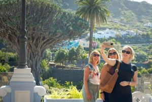 Northwest Tenerife: Villages visit, Lunch, and Tasting Tour