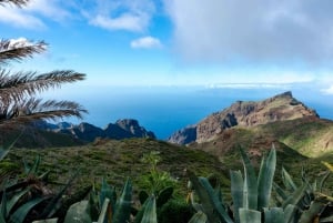 Northwest Tenerife: Villages visit, Lunch, and Tasting Tour