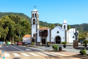 Northwest Tenerife: Villages visit, Lunch, and Tasting Tour