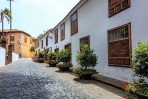 Northwest Tenerife: Villages visit, Lunch, and Tasting Tour