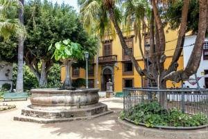 Northwest Tenerife: Villages visit, Lunch, and Tasting Tour