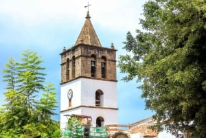 Northwest Tenerife: Villages visit, Lunch, and Tasting Tour