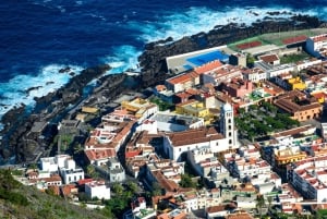 Northwest Tenerife: Villages visit, Lunch, and Tasting Tour