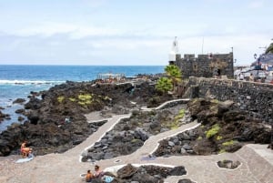 Northwest Tenerife: Villages visit, Lunch, and Tasting Tour