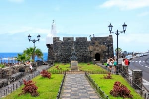 Northwest Tenerife: Villages visit, Lunch, and Tasting Tour