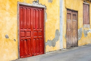 Northwest Tenerife: Villages visit, Lunch, and Tasting Tour