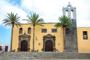 Northwest Tenerife: Villages visit, Lunch, and Tasting Tour