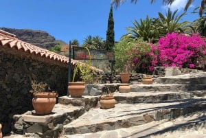 Northwest Tenerife: Villages visit, Lunch, and Tasting Tour