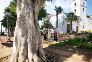 Northwest Tenerife: Villages visit, Lunch, and Tasting Tour