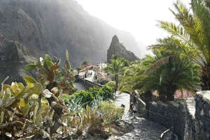 Northwest Tenerife: Villages visit, Lunch, and Tasting Tour