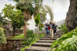 Northwest Tenerife: Villages visit, Lunch, and Tasting Tour