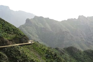 Northwest Tenerife: Villages visit, Lunch, and Tasting Tour