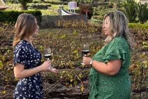 Orotava Valley wine: a product of heroes