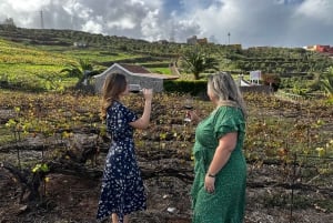 Orotava Valley wine: a product of heroes