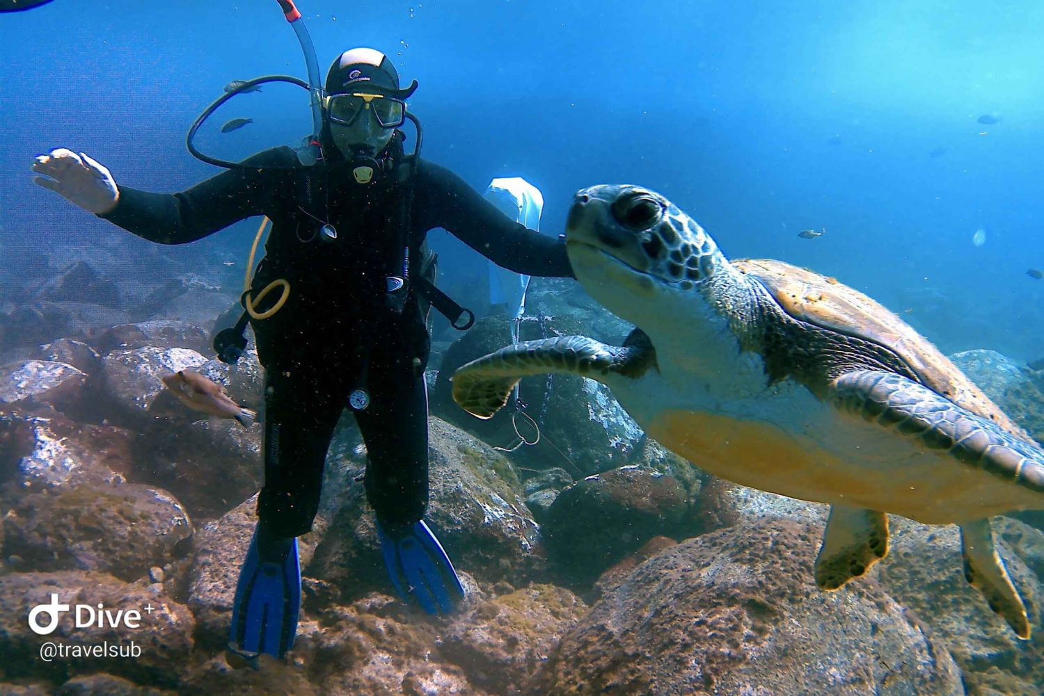 PADI Discover Scuba Diving -kurssi Teneriffalla