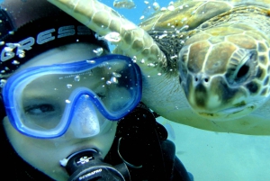 PADI Discover Scuba Diving -kurssi Teneriffalla