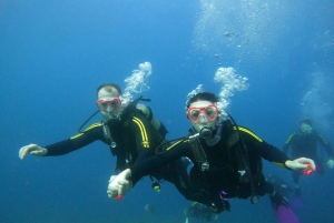 PADI Discover Scuba Diving -kurssi Teneriffalla