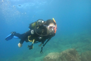 PADI Discover Scuba Diving -kurssi Teneriffalla