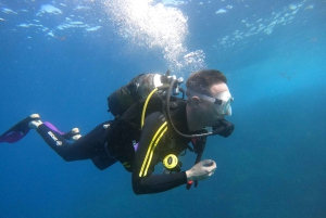 PADI Discover Scuba Diving -kurssi Teneriffalla