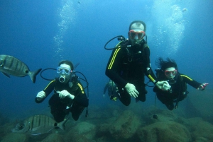 PADI Discover Scuba Diving -kurssi Teneriffalla