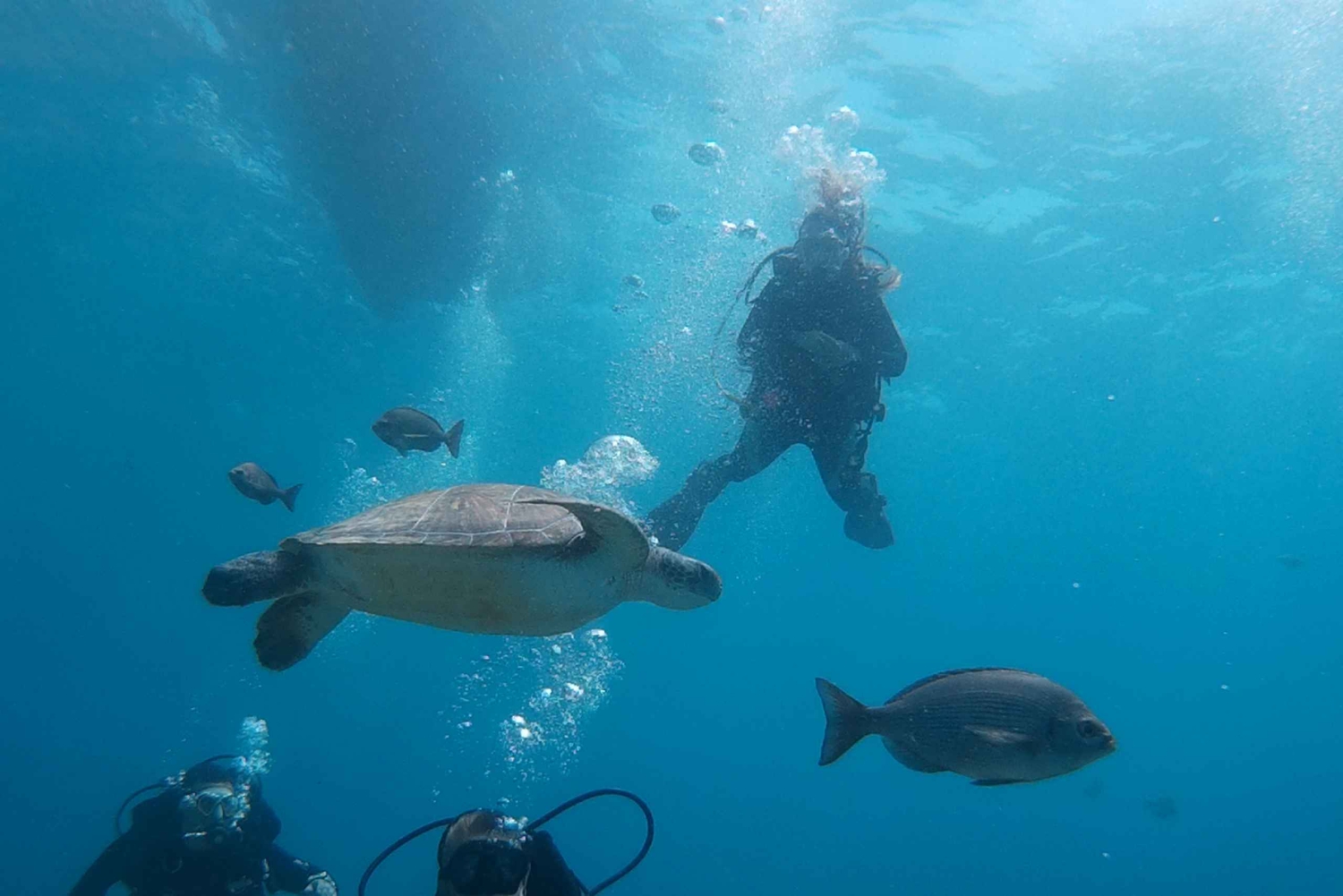 Cours PADI Open Water en 3 jours