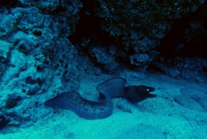 Cours PADI Open Water en 3 jours