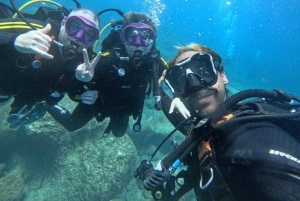 Курс дайвинга PADI в открытой воде Тенерифе