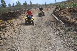 Panoramisk terreng (enkel eller dobbel firhjuling)