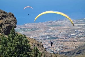 Costa Adeje: Tandem Paragliding Experience with Hotel Pickup