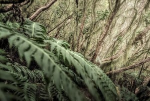 Tenerife: Landscape Photography Workshops, 10 hrs.