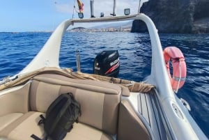 Excursão de barco particular: 2 a 6 horas de felicidade à beira-mar