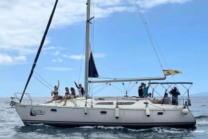 Private charter on sailboat - coastal trip with snorkeling in the bay