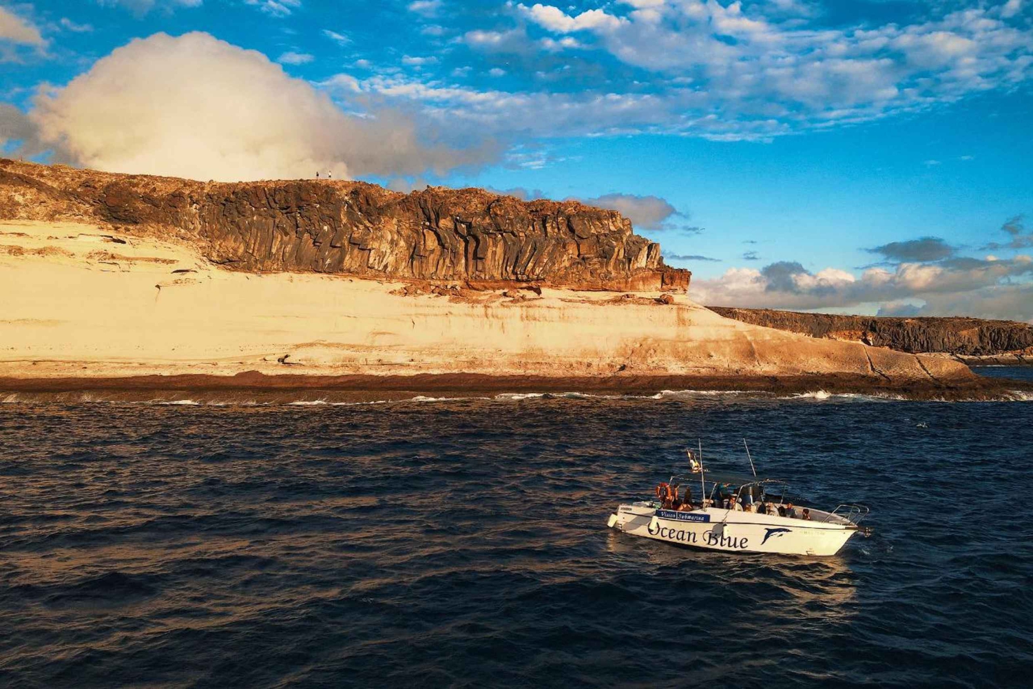 Private Charter Private Charter zur Walbeobachtung – 2 Stunden