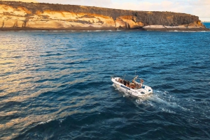 Private Charter Private Charter zur Walbeobachtung – 2 Stunden