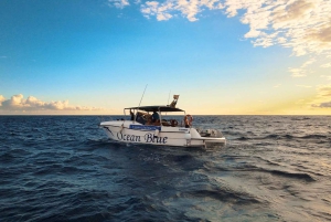 Private Charter Private Charter zur Walbeobachtung – 2 Stunden