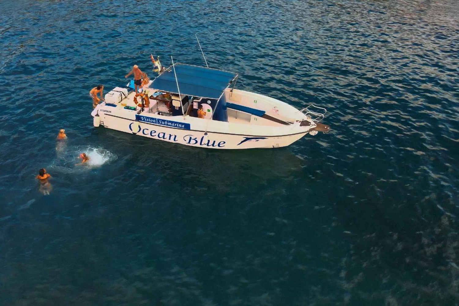 プライベートチャーター 鯨観察プライベートチャーター - 3時間