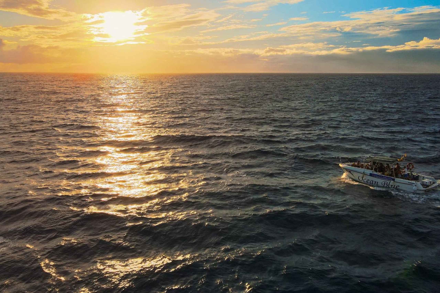 プライベートチャーター 鯨観察プライベートチャーター - 3時間