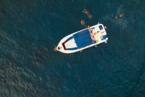 プライベートチャーター 鯨観察プライベートチャーター - 3時間