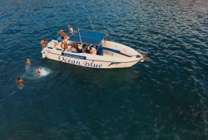 プライベートチャーター 鯨観察プライベートチャーター - 3時間