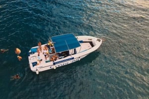 プライベートチャーター 鯨観察プライベートチャーター - 3時間