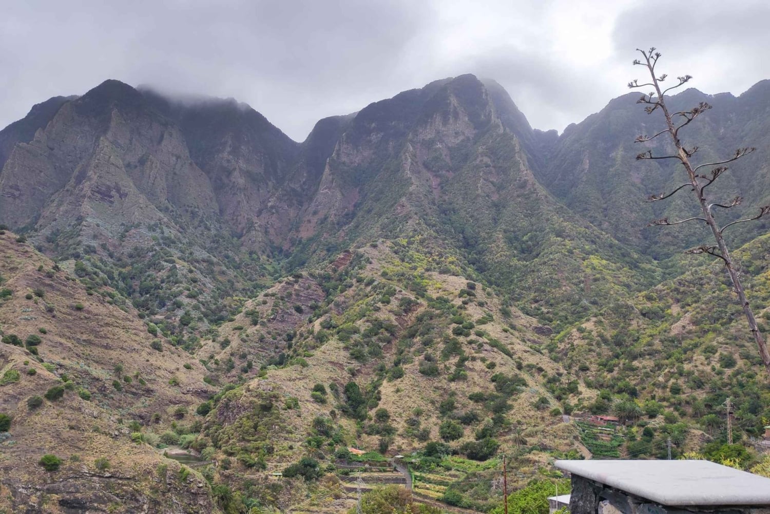 Private day tour of Tenerife